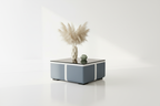 Lisa Coffee Table - Mirror Reflection