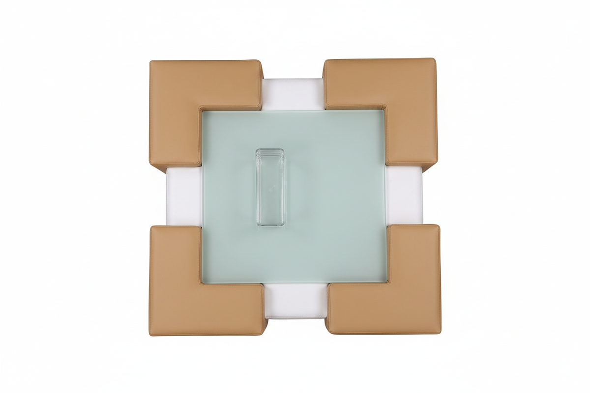 Neptune Coffee Table 俯视图